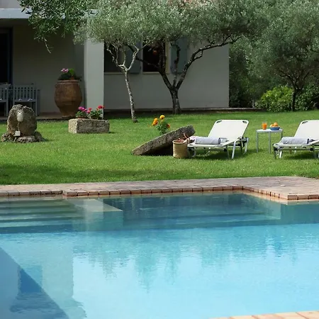 Olive Ferienhaus
